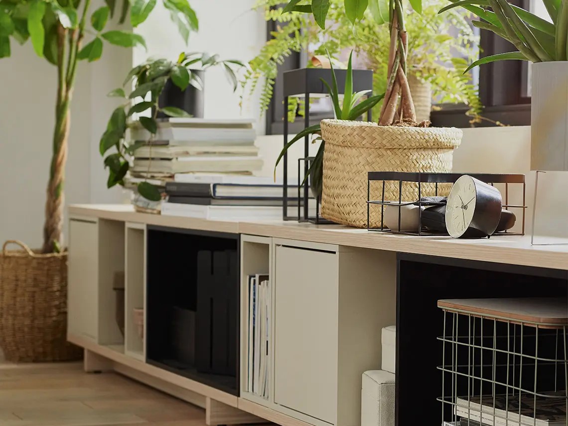 Drewniana szafka z roślinami i książkami przy oknie