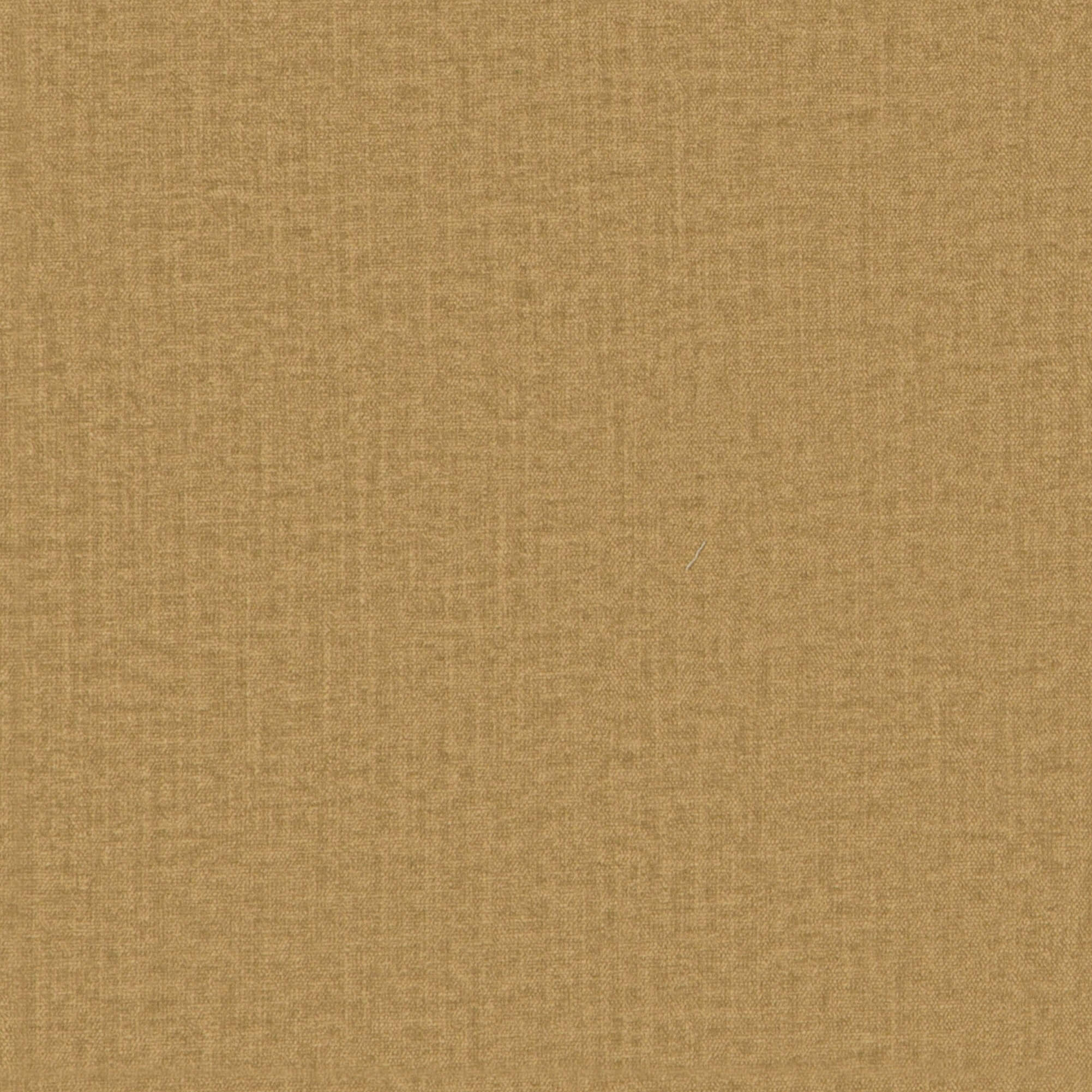 Maya 04