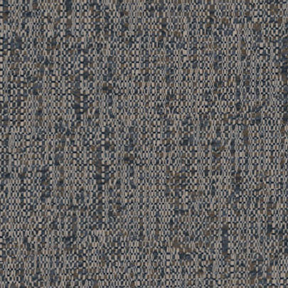 Omni 07
