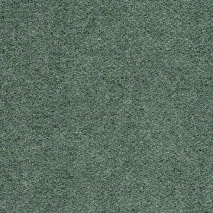 Wool 43