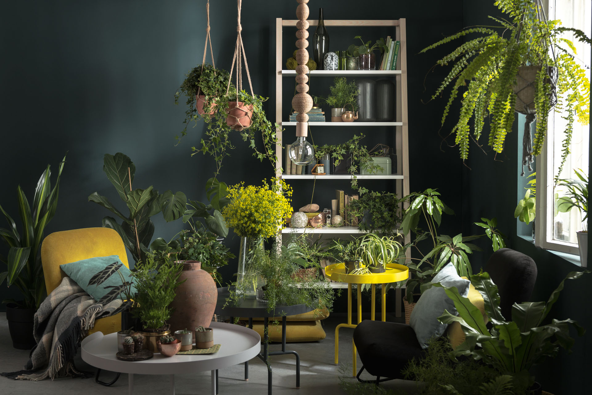 ciemne wnętrze z dużą ilością roślin