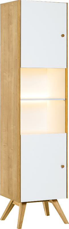 Shelves and display case