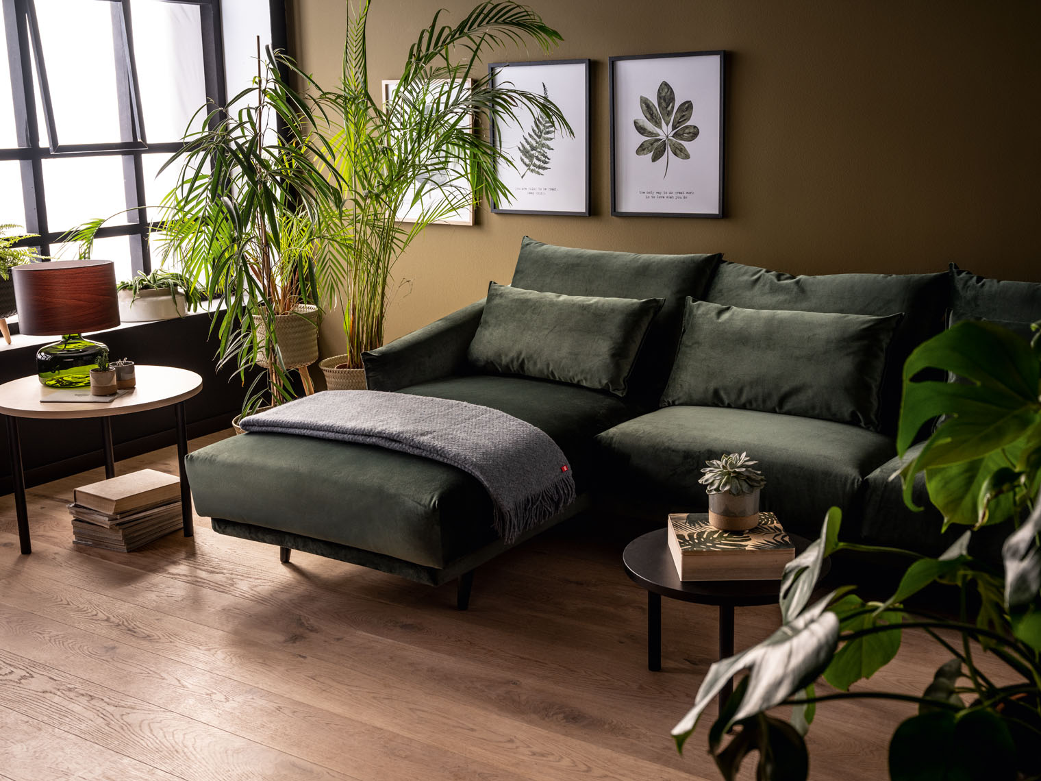 Salon z ciemnozieloną sofą i licznymi palmami doniczkowymi