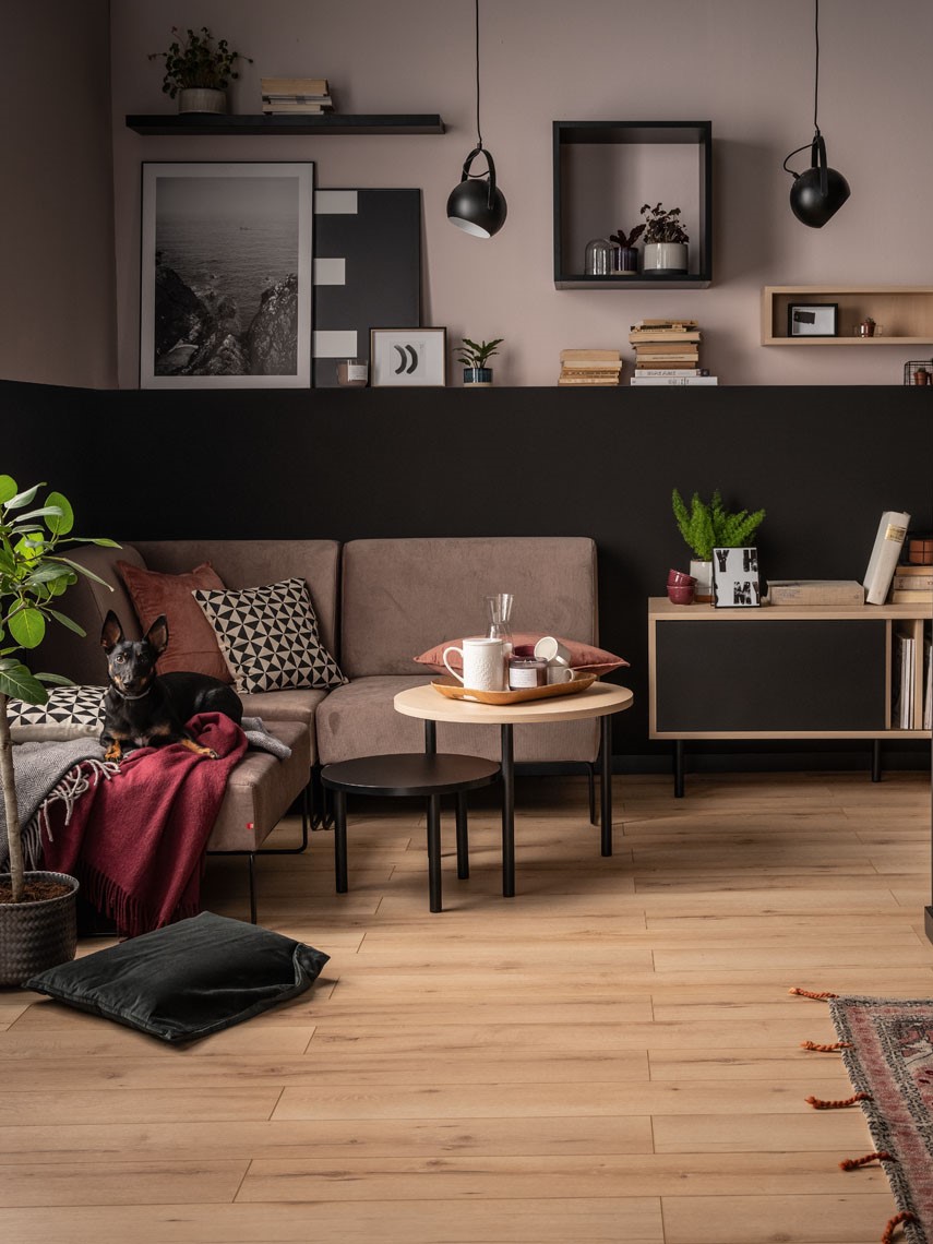 różowy salon z welurową sofą modułową i czarno dębowymi, designerskimi meblami