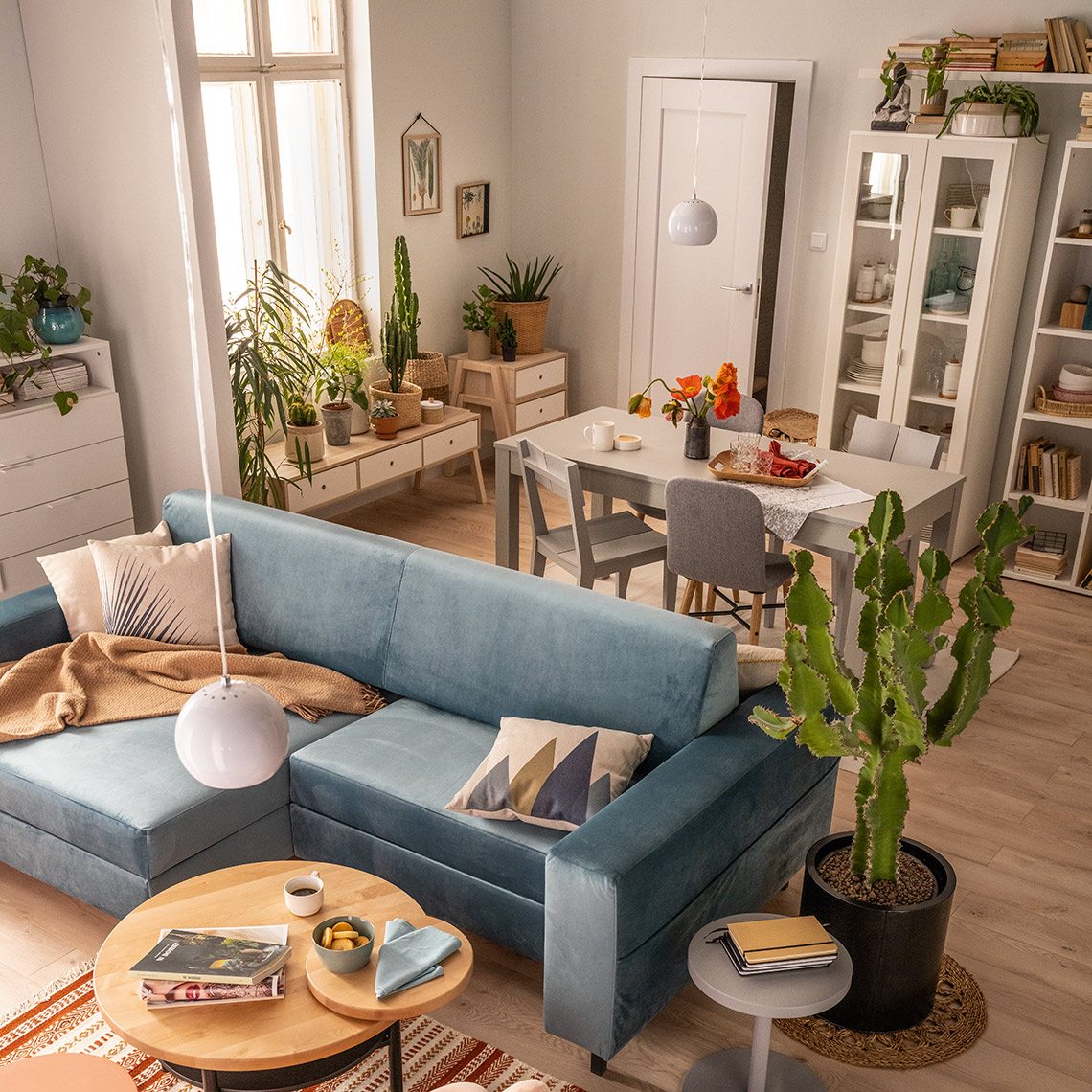 Przytulny salon z jadalnią i błękitną sofą, pełen roślin i naturalnego światła