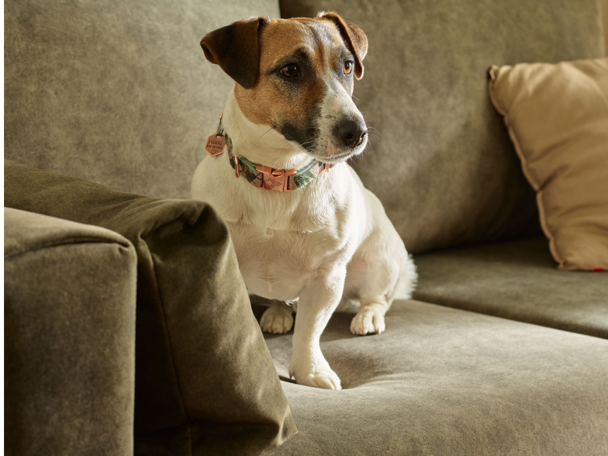 tkaniny pet friendly