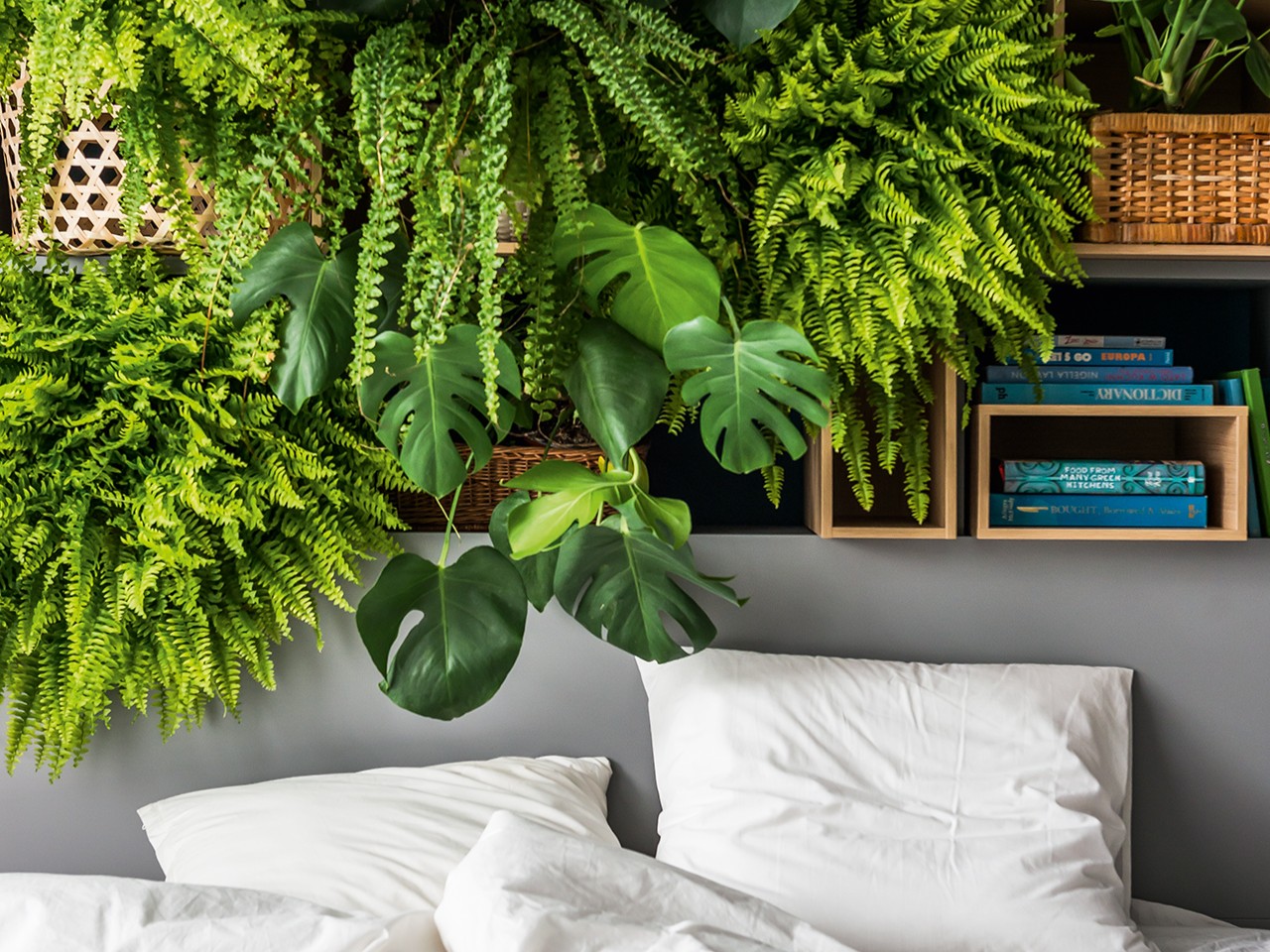 A green wall full of plants - how to arrange it?