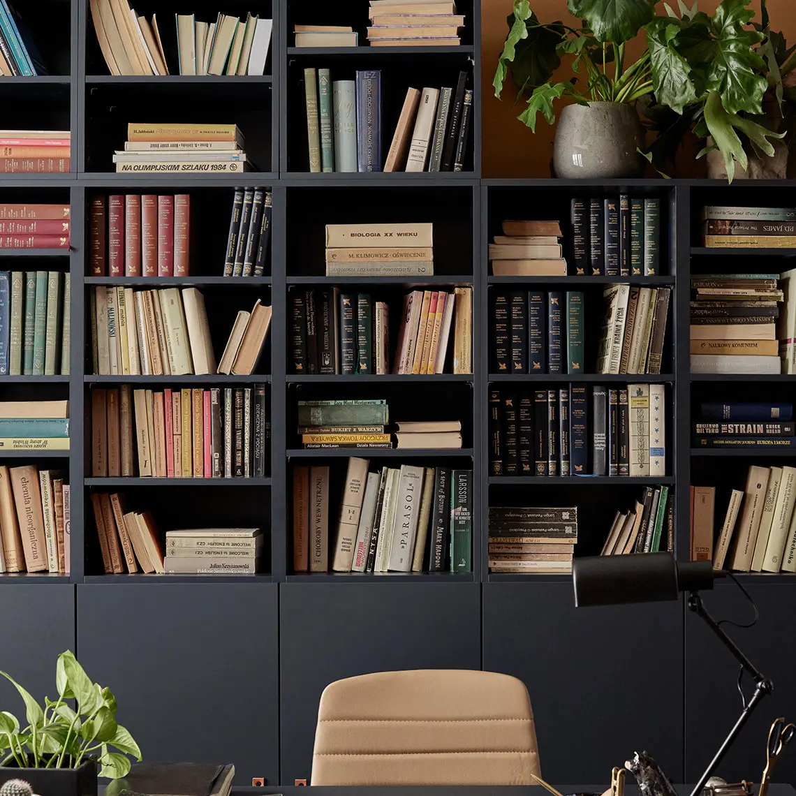 Domowa biblioteka z elegancką czarną zabudową na książki