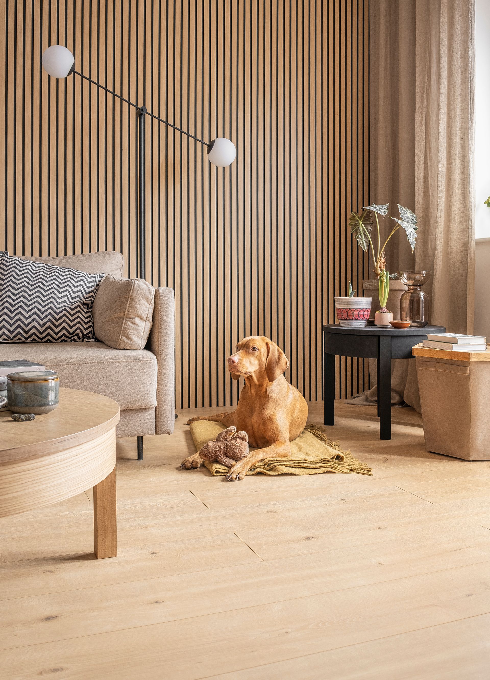Przytulny salon z drewnianą lamelową ścianą i psem 