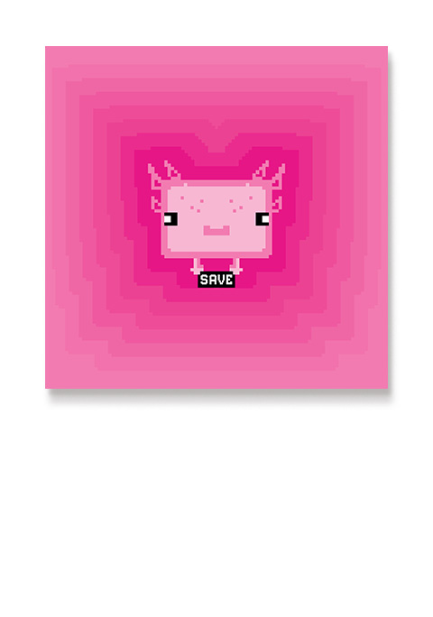 AKSOLOTL