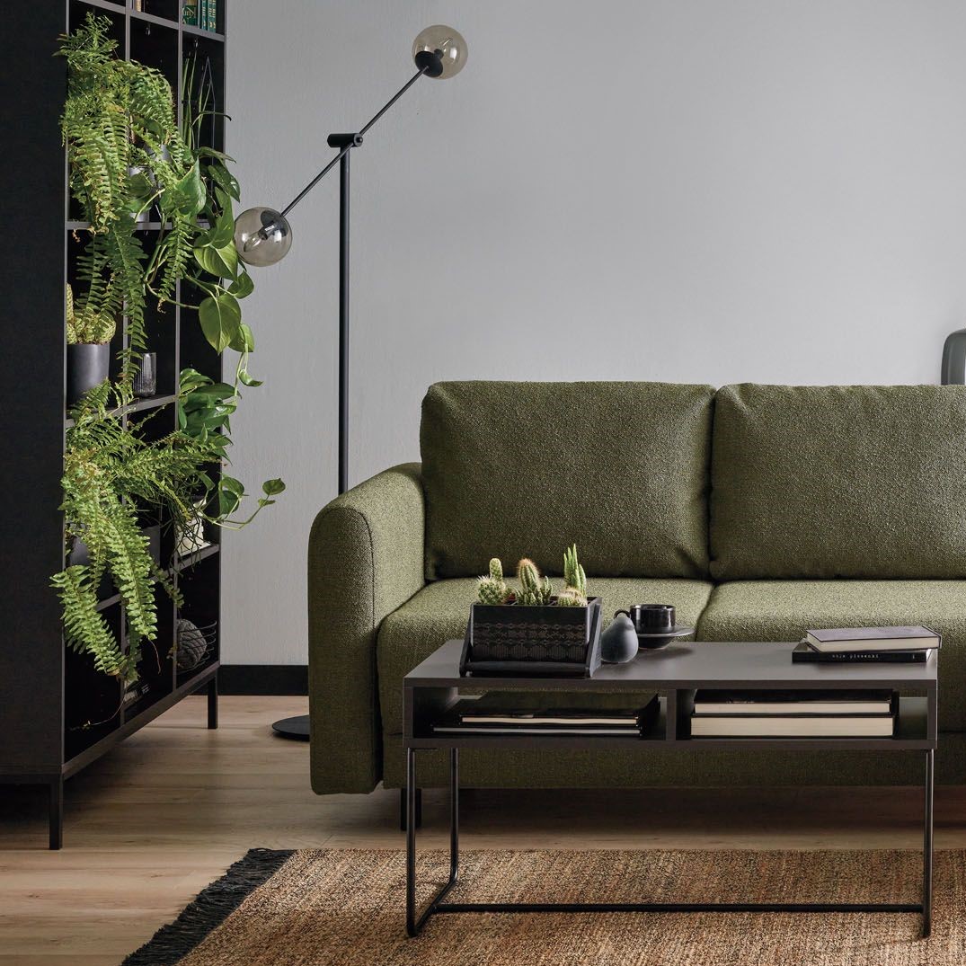 Zielona sofa obok regału z paprotkami