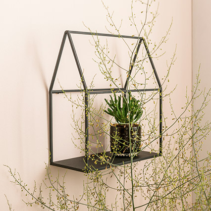 Shelf Vigo arrangement