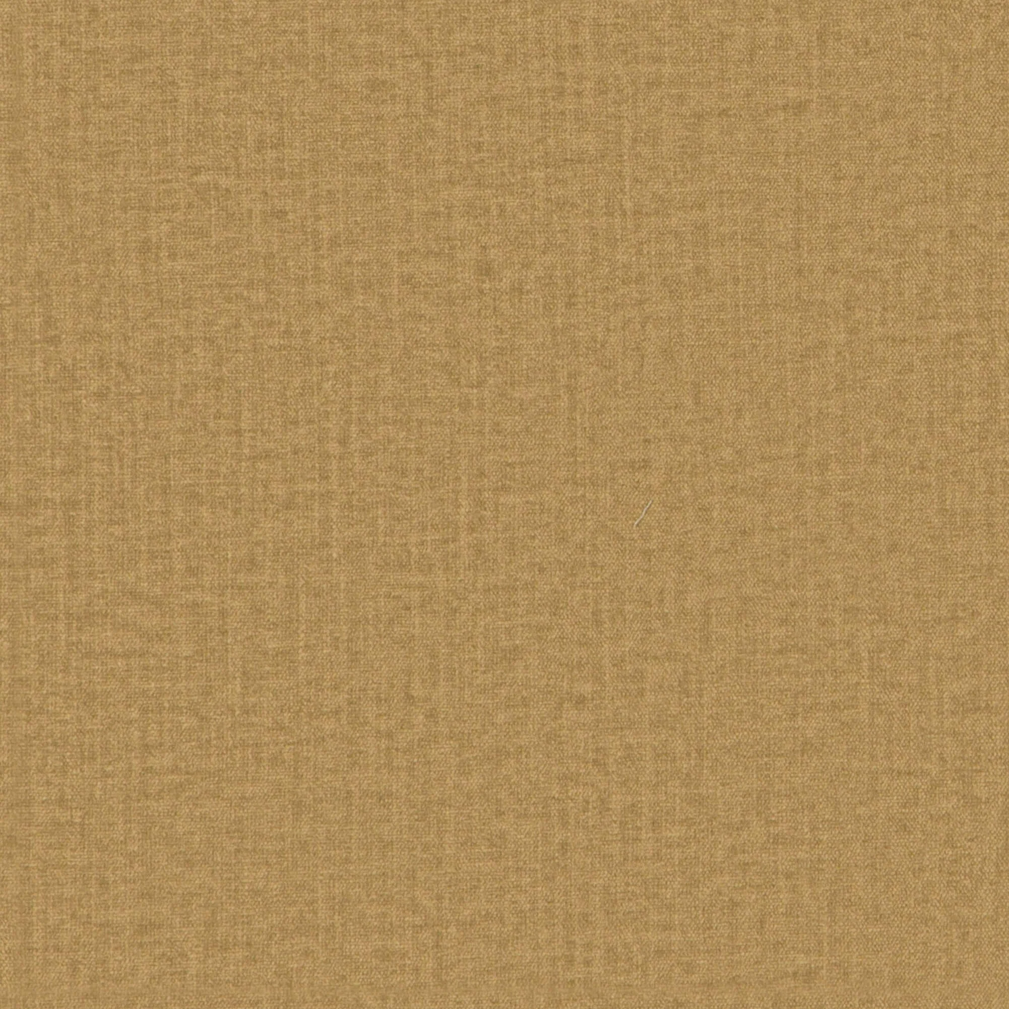 Maya 04
