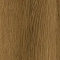 Dąb Polski 3D