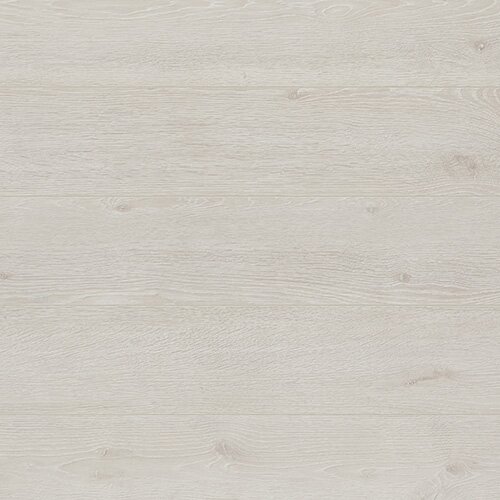 Sapphire Prestige Laminate floors AC4 Oak Arctic
