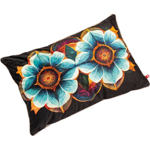 Pillow 40x60 Mesme