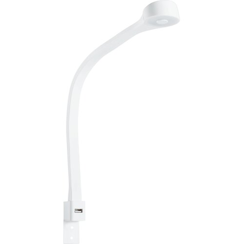 Lamp Elastic