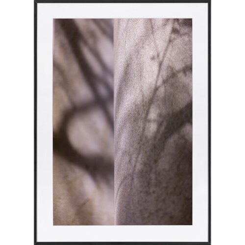 Fotografia Stone Conversation 2
