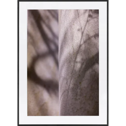 Fotografia Stone Conversation 2
