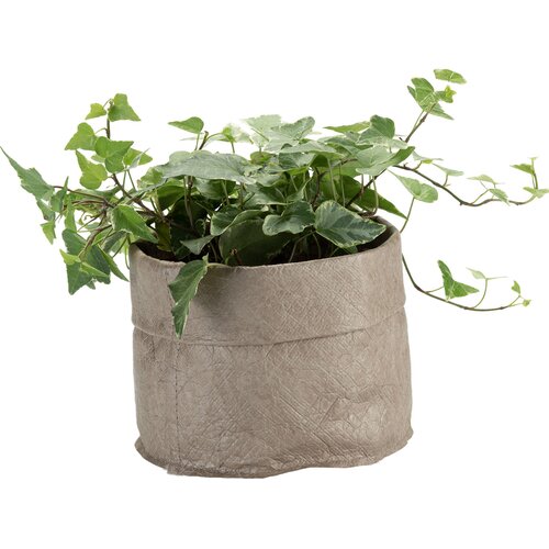 Small container Calm