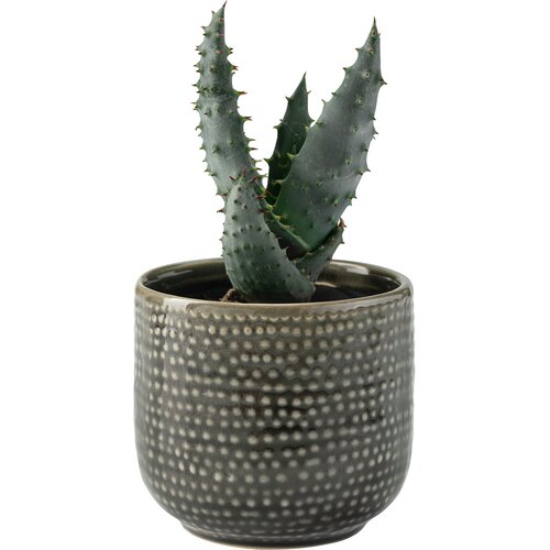 Small plant pot Ligo