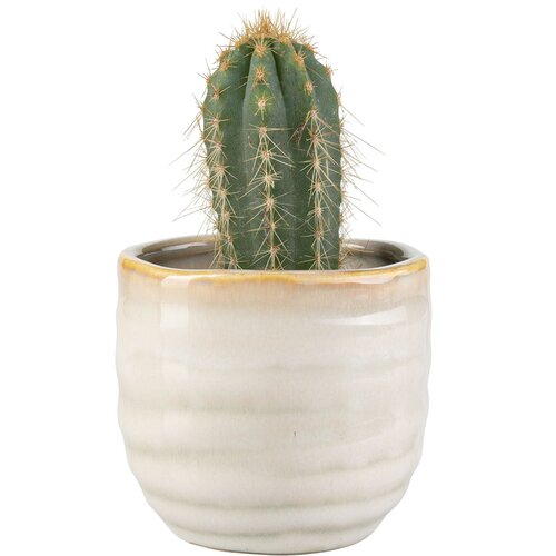 Small plant pot Lig