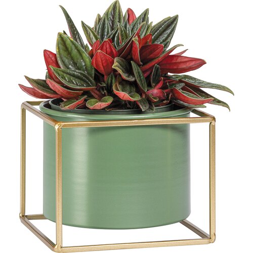Low plant pot Grino
