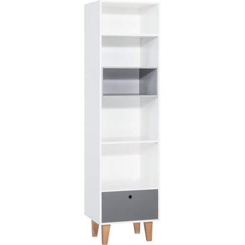 Bookcase Concept