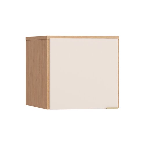 Extension de l`'armoire 1 porte Simple