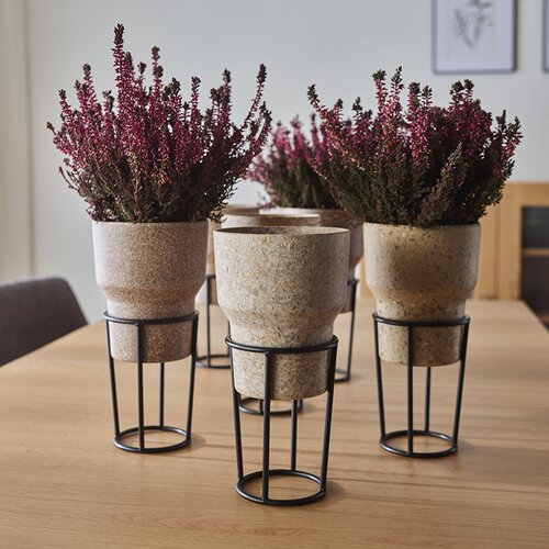 Stone I flowerpot cover arrangement