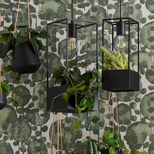 Big pendant lamp Lank arrangement