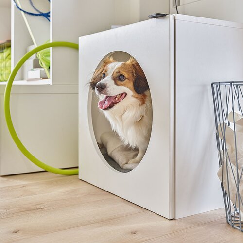 Pet house cabinet Young Users Next arrangement