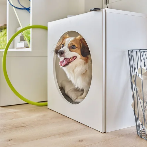 Pet house cabinet Young Users Next arrangement
