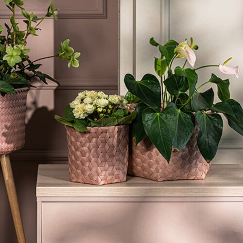 Small basket Weni Copper Blush arrangement