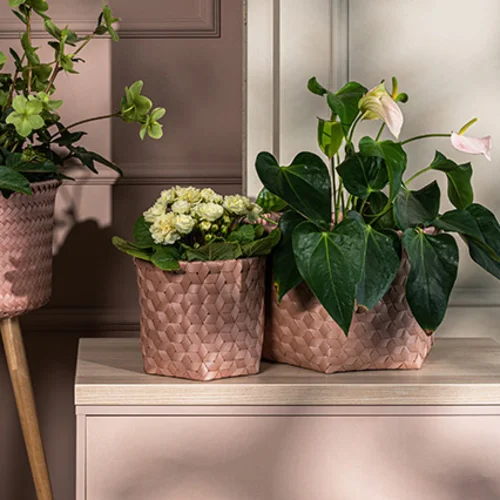 Small basket Weni Copper Blush arrangement